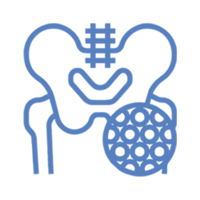 Bone Mineral Density